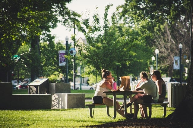 Colleagues eating outside