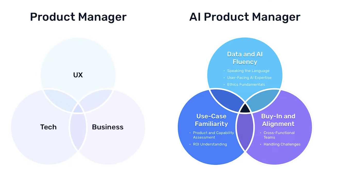 Blog image 9: How to Transition into an AI/ML PM